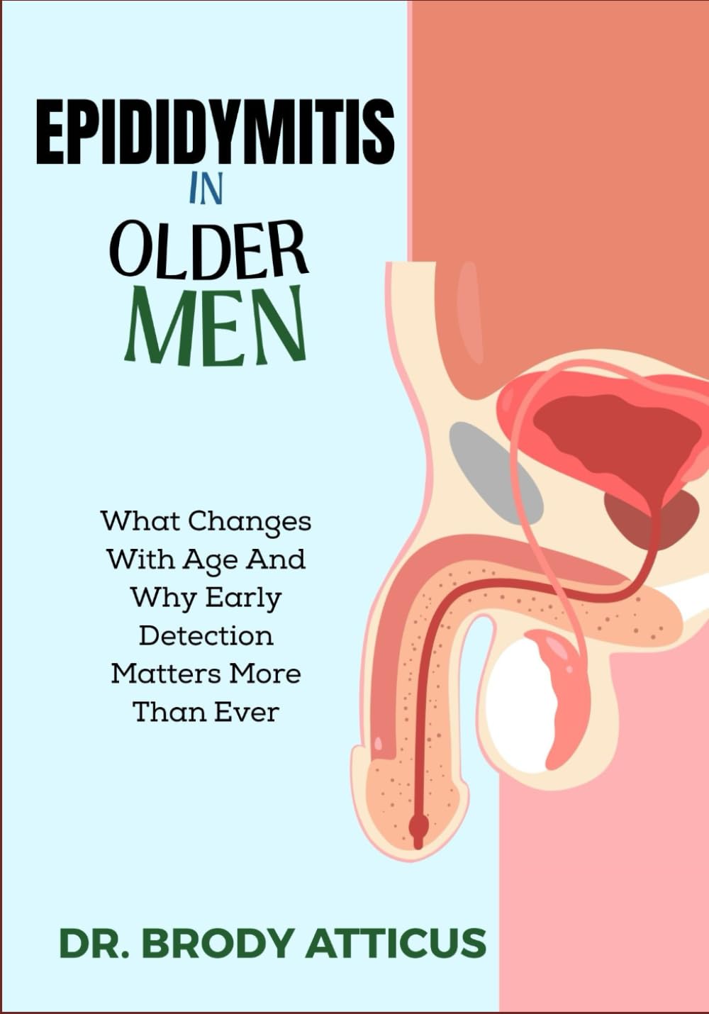 EPIDIDYMITIS IN OLDER MEN: What Changes With Age And Why Early Detection Matters More Than Ever