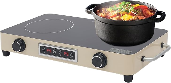2 Burner Electric Cooktop 120V, 19Inch Electric Stove Top with Knob Control, Kids Lock & 99 Min Timer, Overheat Protection Stove Top for Kitchens, RVs, Apartments