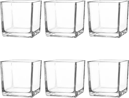 Set of 6 Square Glass Vases 4" x 4" x