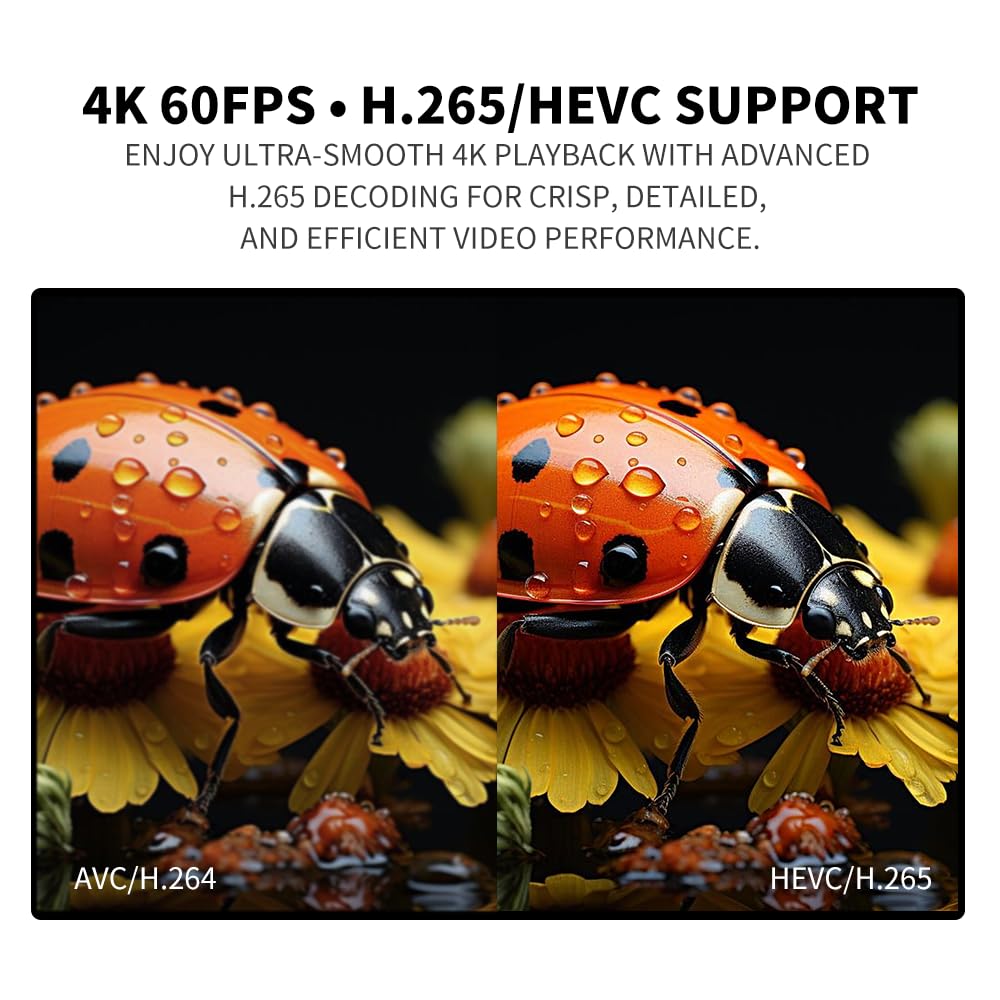 4K Media Player für USB-Laufwerk & SD, Ultra HD Digital Signage Player mit HDMI/AV Ausgang, H.265 H.264 MKV MP4 Video, MP3 Musik, JPG Foto, Auto Play & Resume, Loop Playback