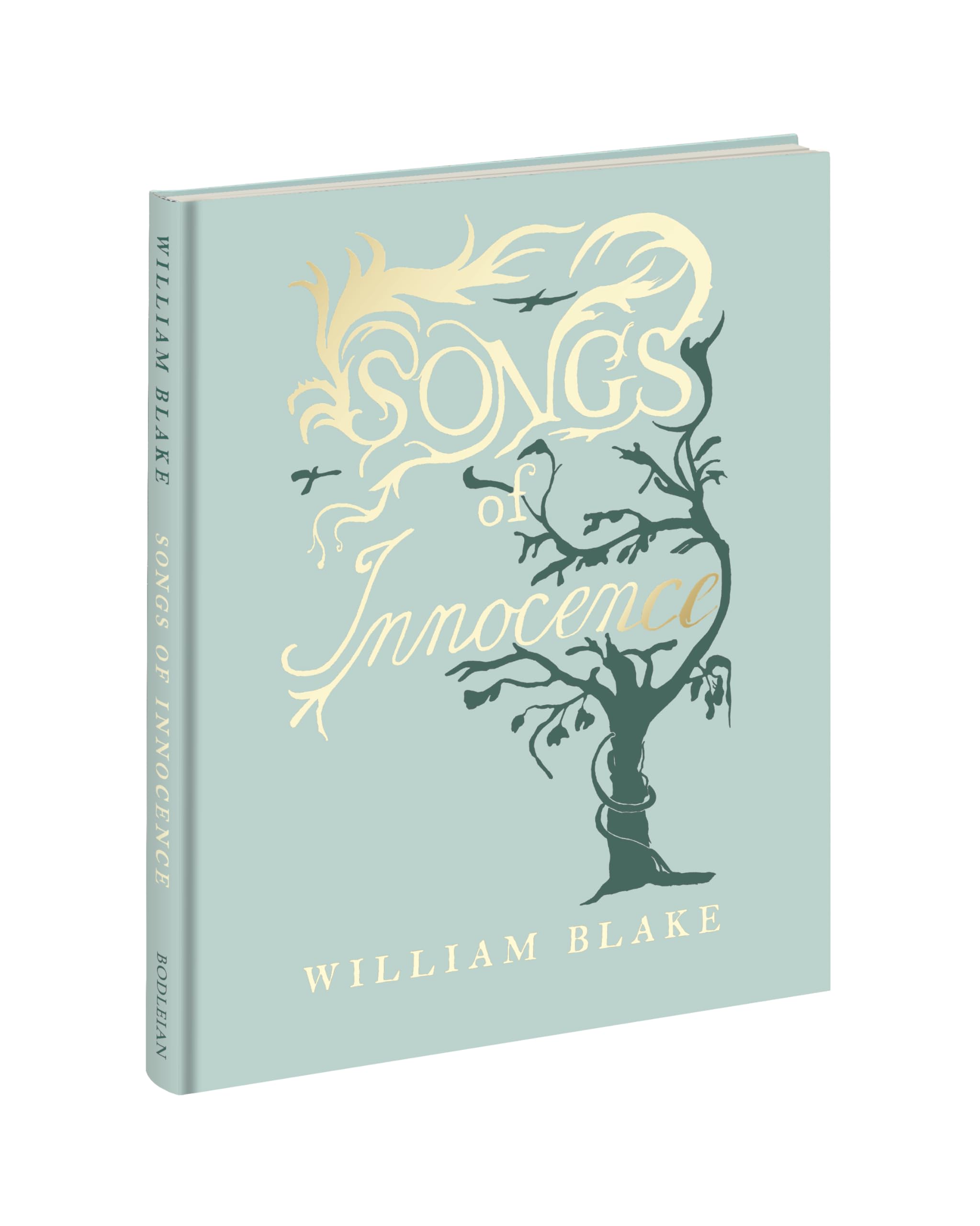 William Blakes Songs of Innocence by William Blake HARDBACK 9781851246427