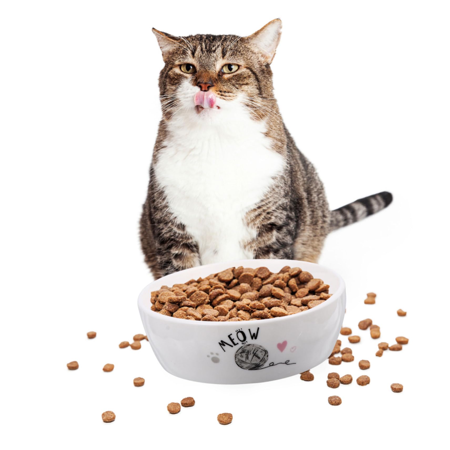 BESPORTBLE Bol de Chat Bols de Chat Bol d'eau pour Chat Nourriture pour Chats Non conteneur Croquette Chat récipient Chat Alimentation Arc de Chiot Arc de Chat Chiot céramique Blanche