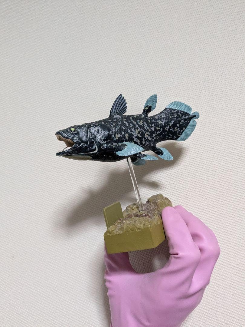 沼津港水族館限定 シーラカンス カロラータミュ ージアムモデルフィギュア 海洋堂 沼津港水族館限定 シーラカンス カロラータミュ ージアムモデル