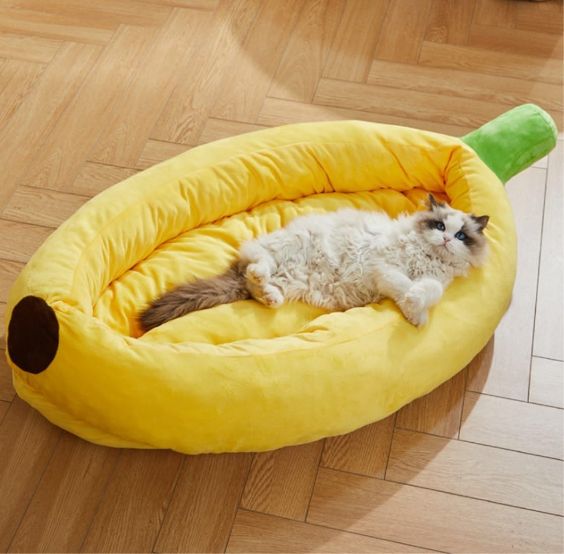 Hondenbed Kattenbed Huisdier Bed Orthopedisch hondenbed met afneembare, wasbare hoes en antislip hondenbedden voor grote, middelgrote honden Huisdier Pad (Color : Yellow, Size : 62 * 38 * 13cm