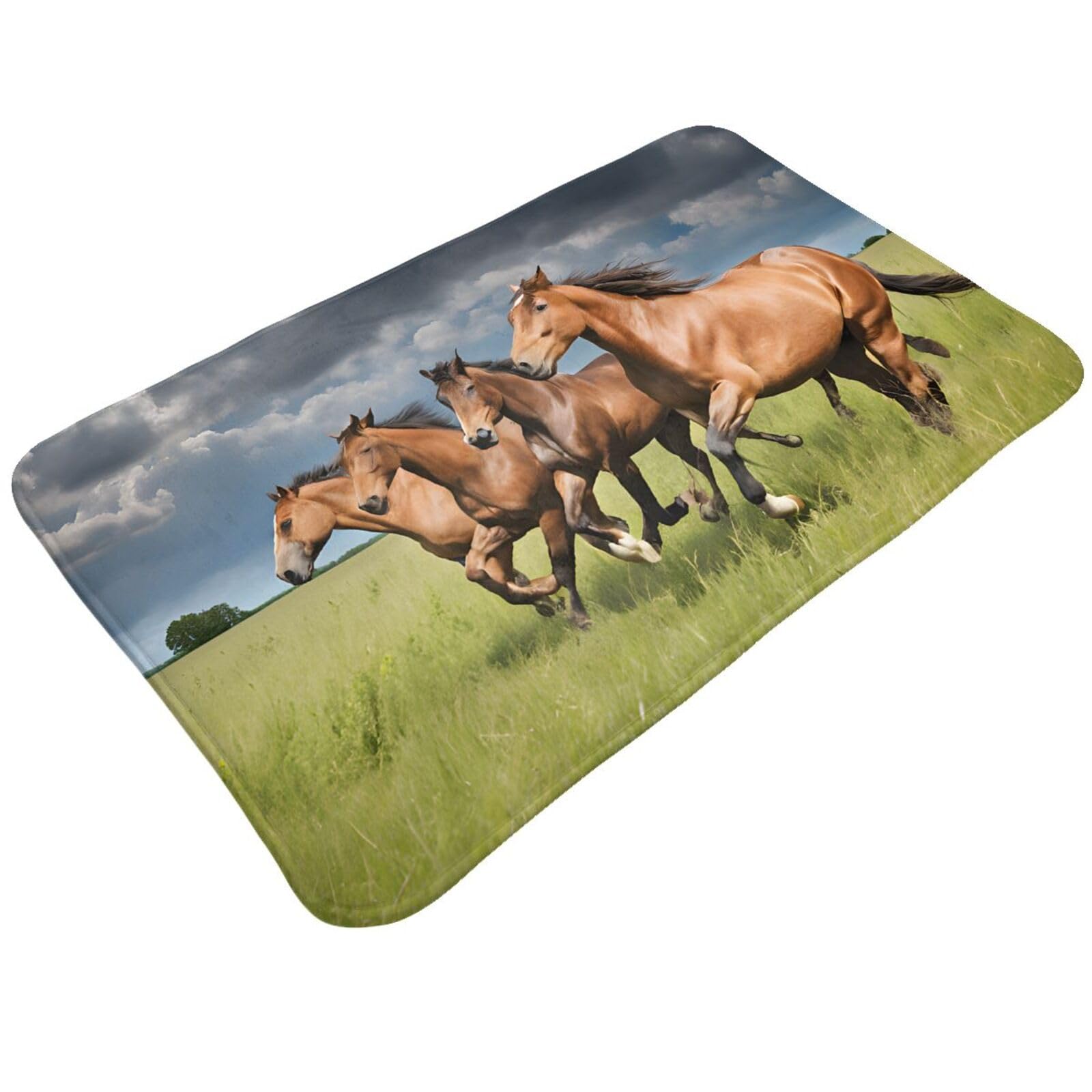 Horses Print Living Room Bathroom Kitchen Anti Slip and Absorbent Carpet, Indoor Entrance Door Muddy Floor Mat, Ultra Soft Washable Carpet 21x31.5 Inches