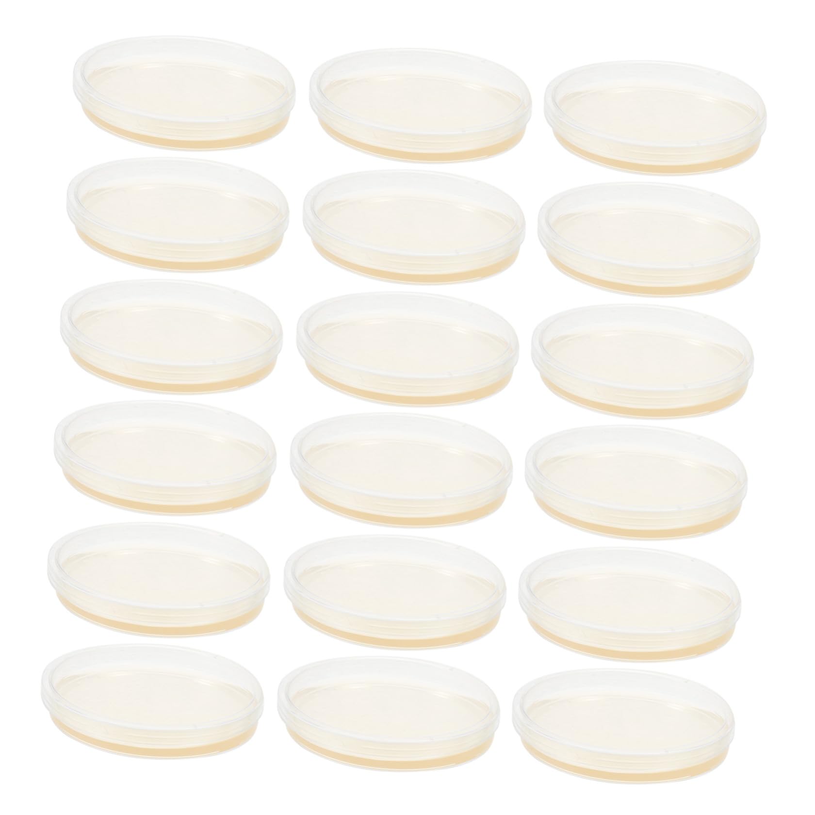 Piastre di Petri Agar Nutriente Preriveto 9 Cm Rotonde 20 Pezzi in Ps per Esperimenti Scientifici e Coltivazione Microbiologica in Laboratorio