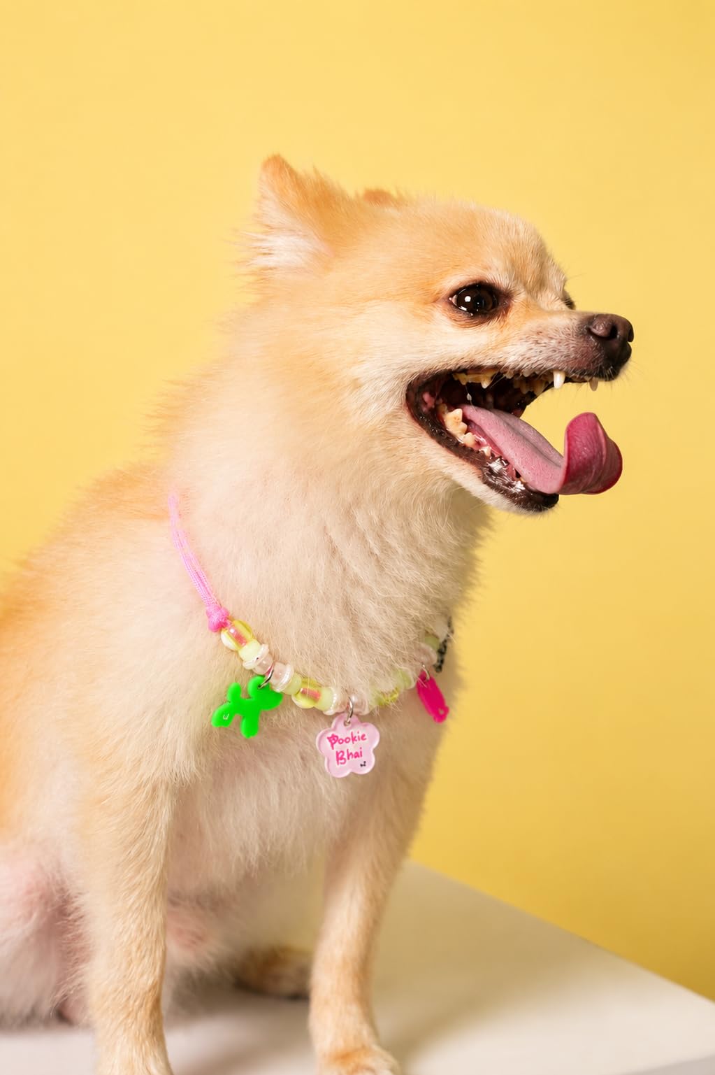 Pookie Bhai Pet Neck Rakhi | Cute Personalized Pet Dog Rakhi for Dogs & Cats | Adjustable Comfortable Thread | Raksha Bandhan Gift for Puppies & Dogs-image-26