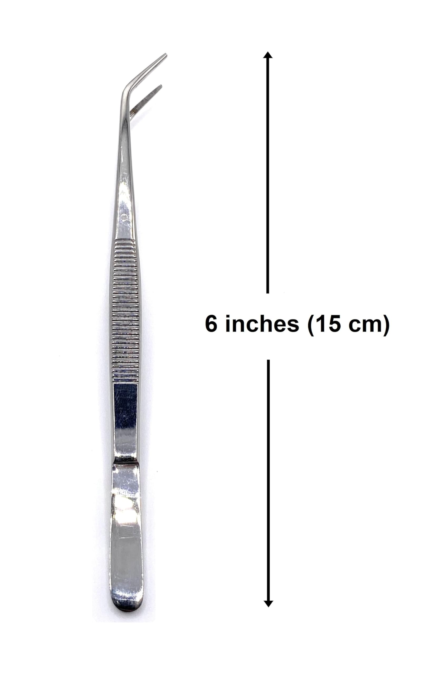 6 inch Forceps for Dissection, Dental Students, Crafting, Electronics, Cotton Pliers Tweezers — Amazon image 6