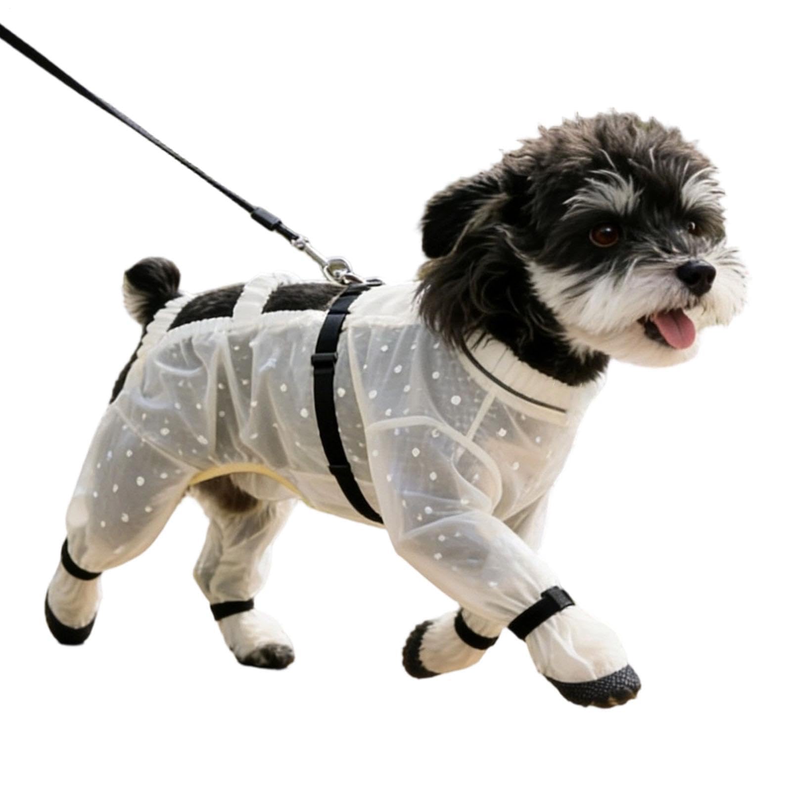 Combinaison pour chien élastique pour éviter les poils mouillés lors de la marche sous la pluie