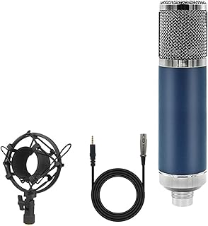 EIKLAR F22 Professional Condenser Microphone For Recording Vocals Gaming Podcast Live Streaming Microphone For Laptop/Computer (Color : 26mm Diaphragm)