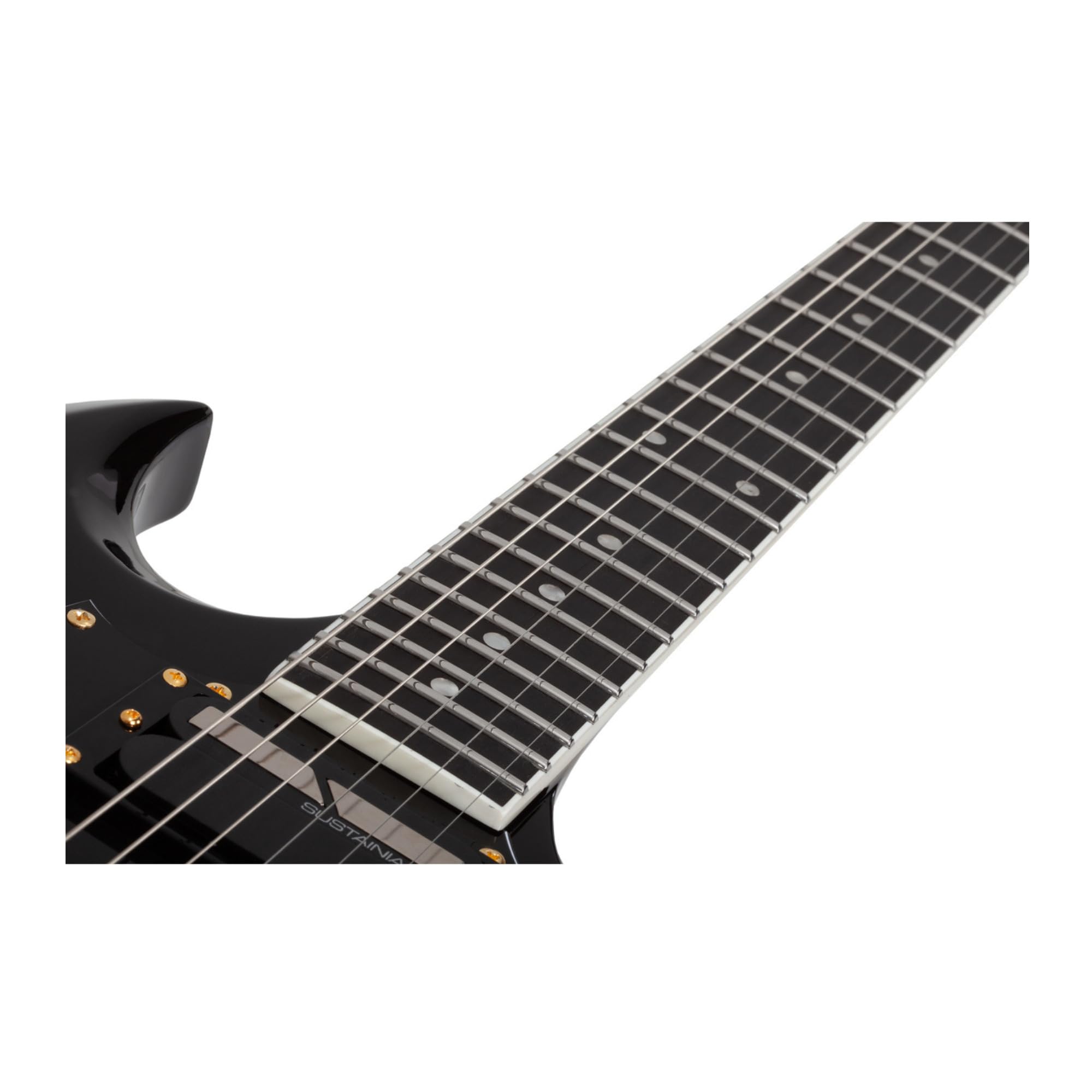 Amazon.com: Schecter ZV-H6LLYW66D-S Zacky Vengeance Signature