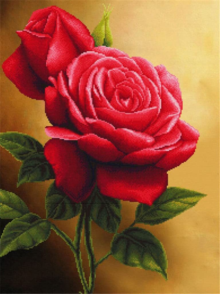 油彩画 バラの花 Amazon.co.jp: LovetheFamily 咲いたバラの花 数字油絵 数字キット