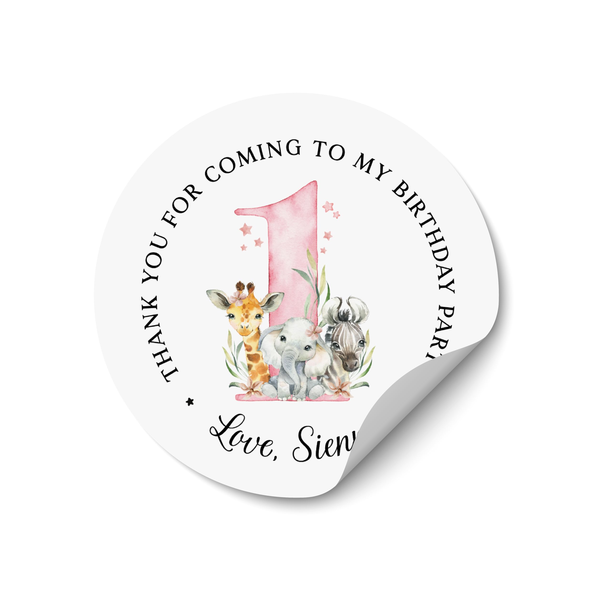 Personalized Thank You Party Favor Stickers, Birthday Stickers with Name, Custom Happy Birthday Labels Sheet, Cute Birthday Cake Stickers - BD52