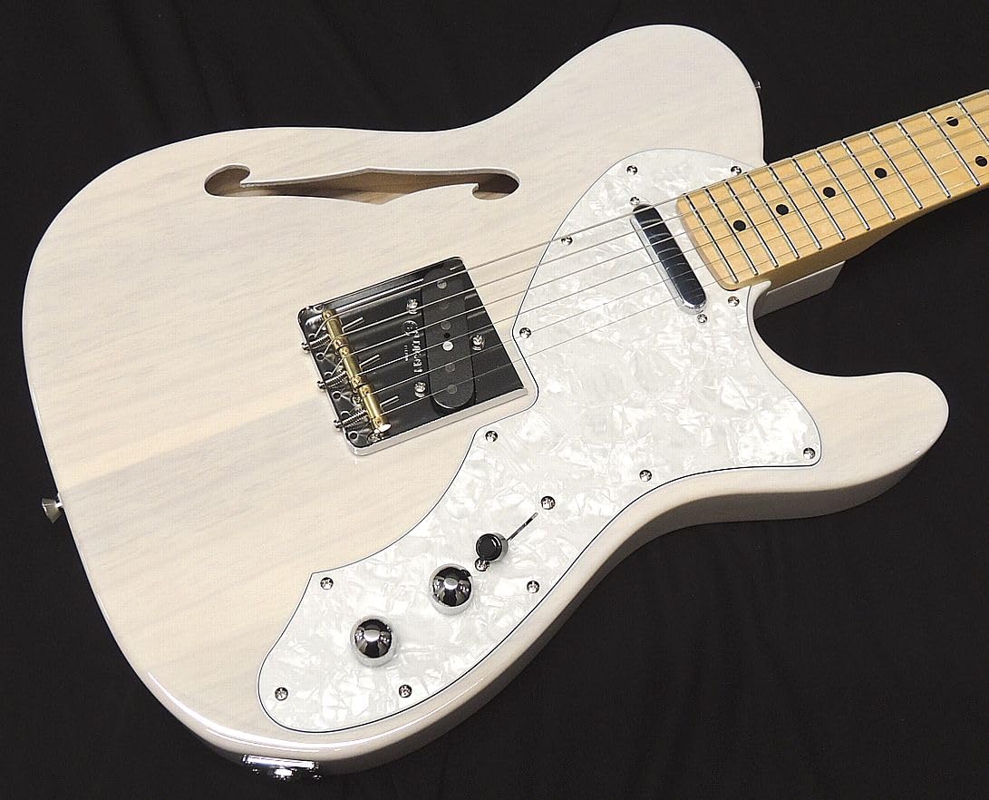 Amazon | FGN FUJIGEN NTE100MAHT WB フジゲン Neo Classic