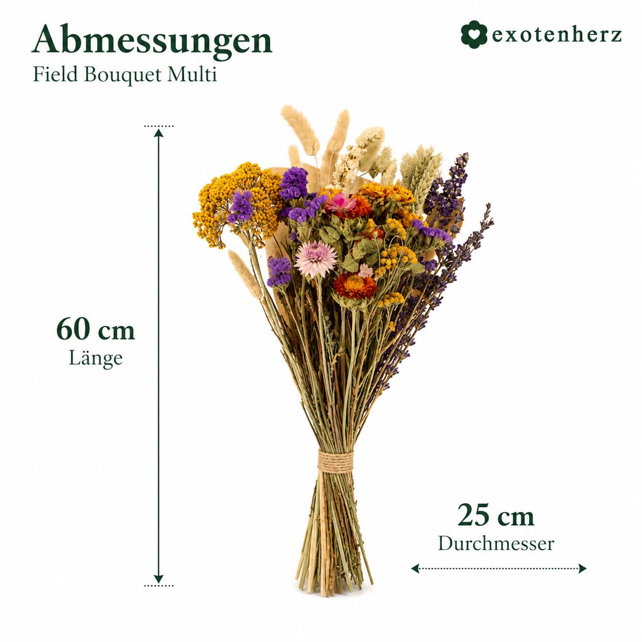 Exotenherz Bouquet de fleurs séchées - Fleurs de champ naturelles - 25 cm