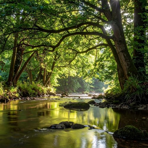 The Gentle Current: A Soundscape for Peaceful Rest Podcast Por  arte de portada