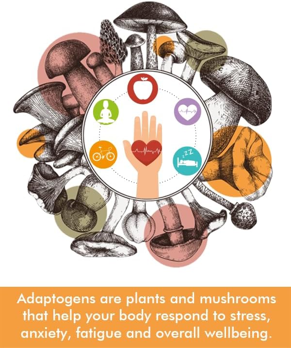 Miniatura 4 de Tree of Life Botanicals - Complejo de hongos para dormir con magnesio, melatonina, reishi, melena de león, cordyceps - Calma, sueño profundo,