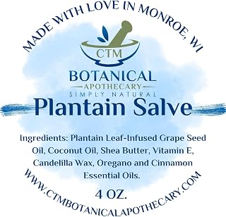 Plantain Salve (4 OZ.)