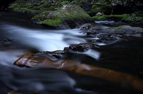 Miniatura 2 de Filtro Marumi DHG Super ND1000 de 3.031 in, 10 paradas, vidrio óptico ND3.0, fácil de limpiar, 77, fabricado en Japón