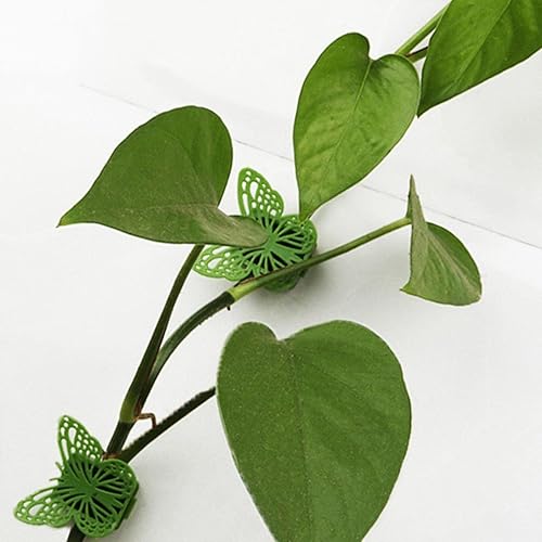 Miniatura 5 de Xuyuan Wall Clips for Plant Vines - Plant Clips for Climbing Plants - Self-Adhesive Garden Vines Plant Climbing Support Traction Wall Fixture Clips