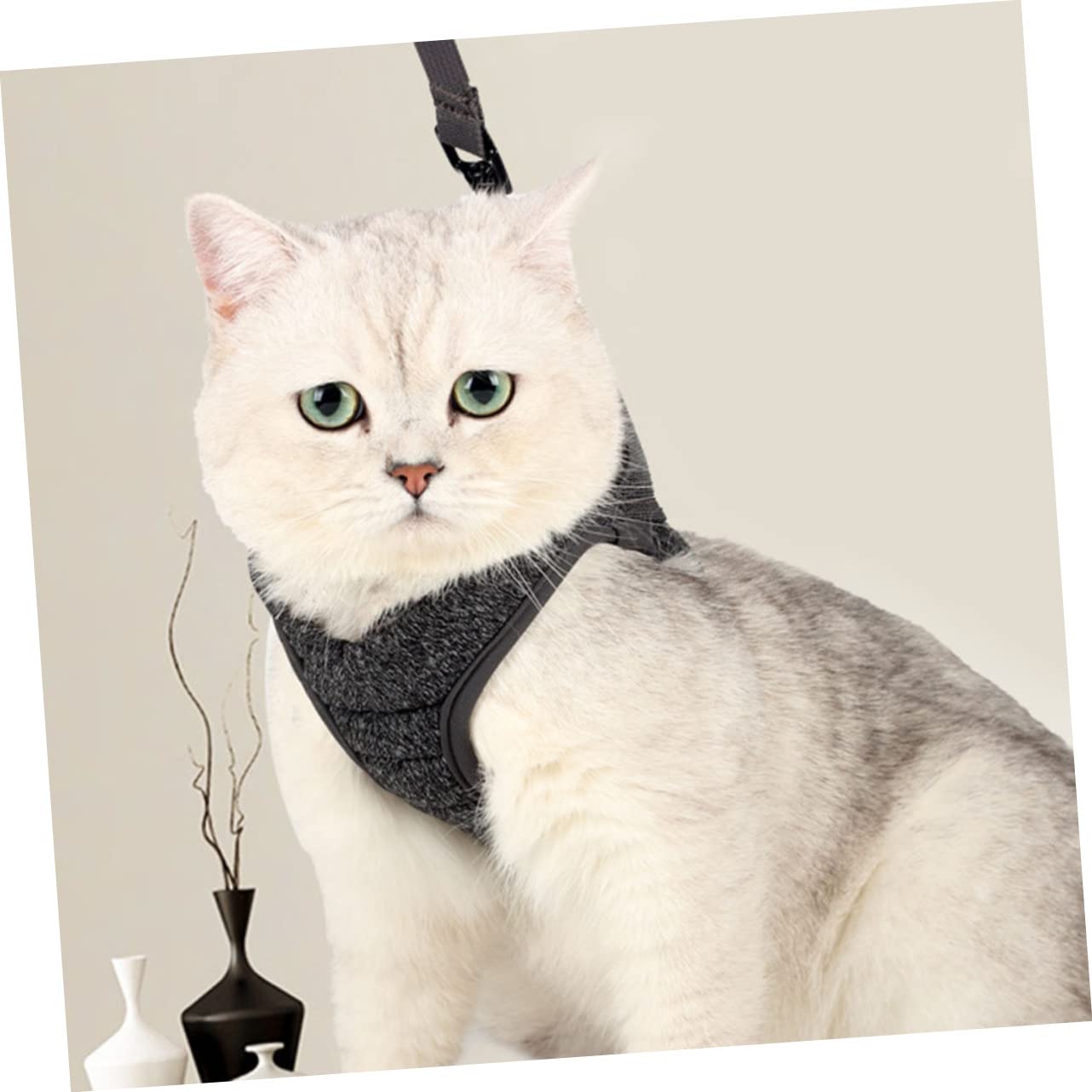 minkissy 3 Pièces Engrener Harnais pour Chat