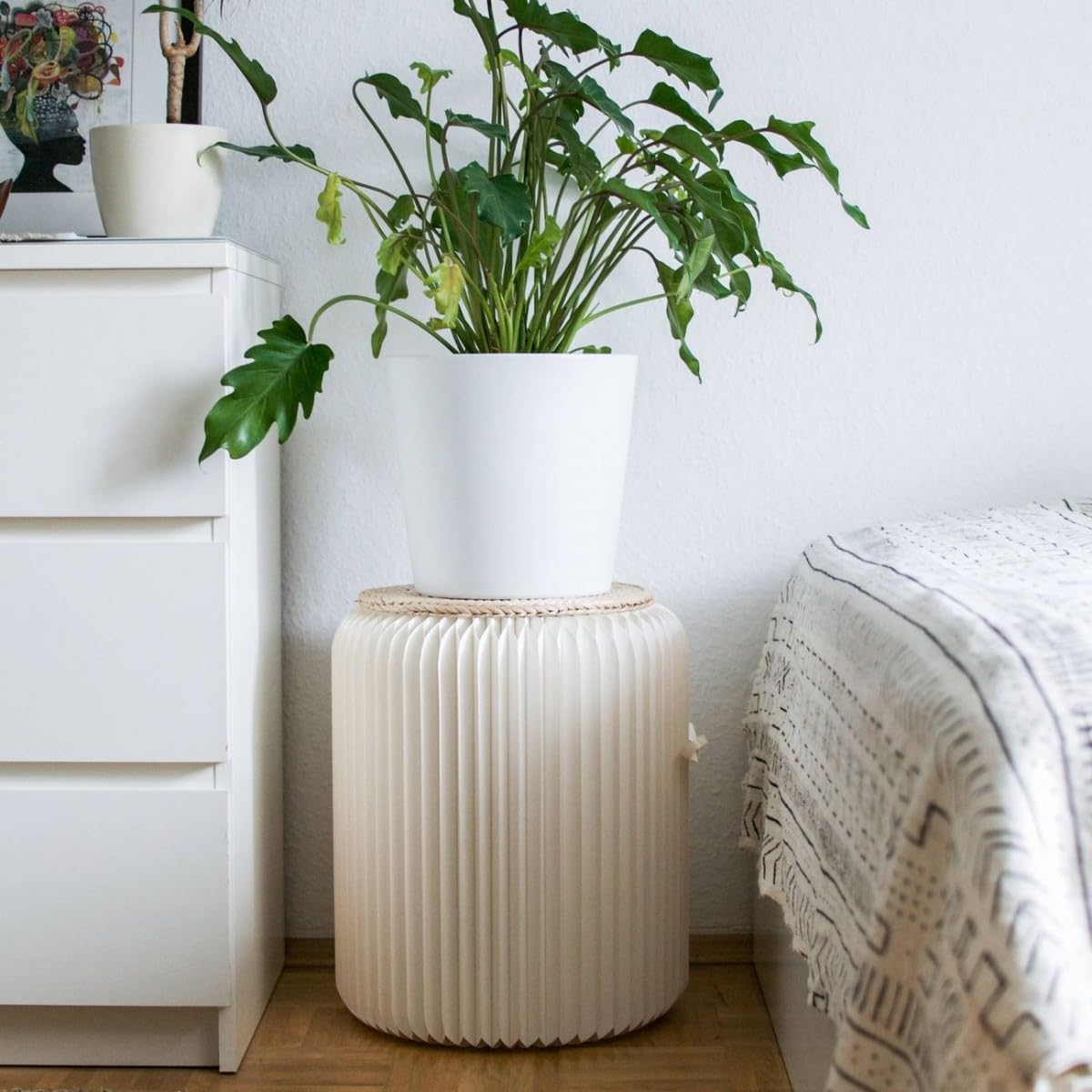 Tabouret Pliable - en Carton Recyclable (Blanc Sacré-Coeur (Assise Paille Tressée), 42 cm)
