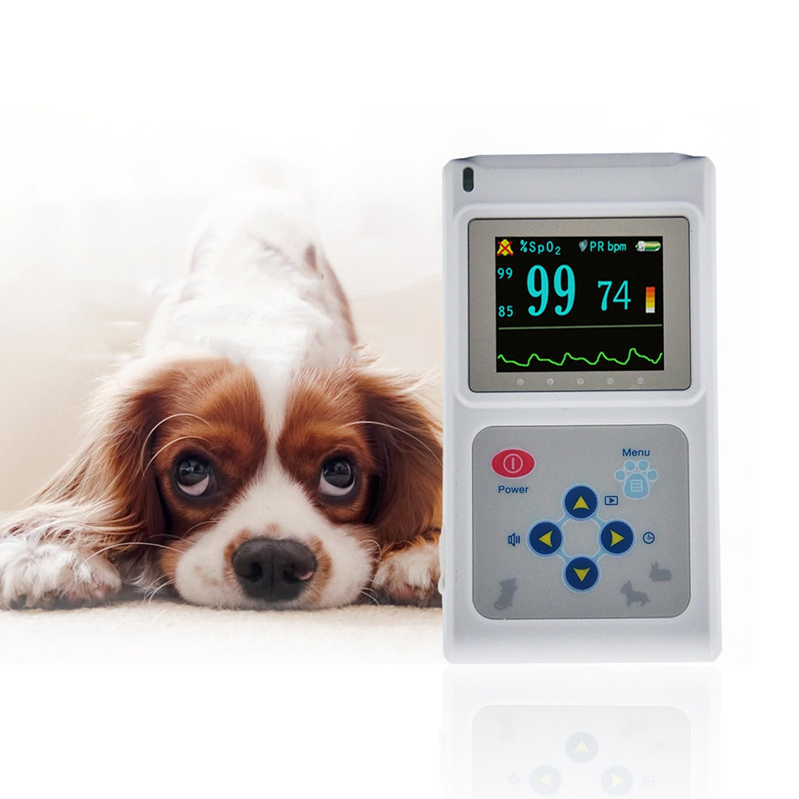 Pulsossimetro Auricolare Veterinario, Pulsossimetro Portatile per Animali, Display OLED. Luminosità dello Schermo Regolabile, per Il Tuo Cane, Gatto, Cavallo, Mucca, Pecora, Coniglio