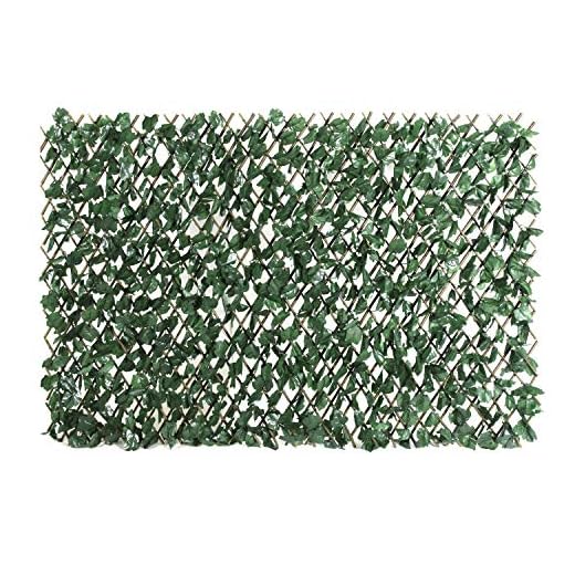 ColourTree Ivy Hedge Backdrop Single Side Retractable Expandable Faux Artificial Ivy Trellis Fence Privacy Scree n Wall Screen - Commercial Grade 150 GSM - Heavy Duty - 3 Years Warranty (2 Pack)
