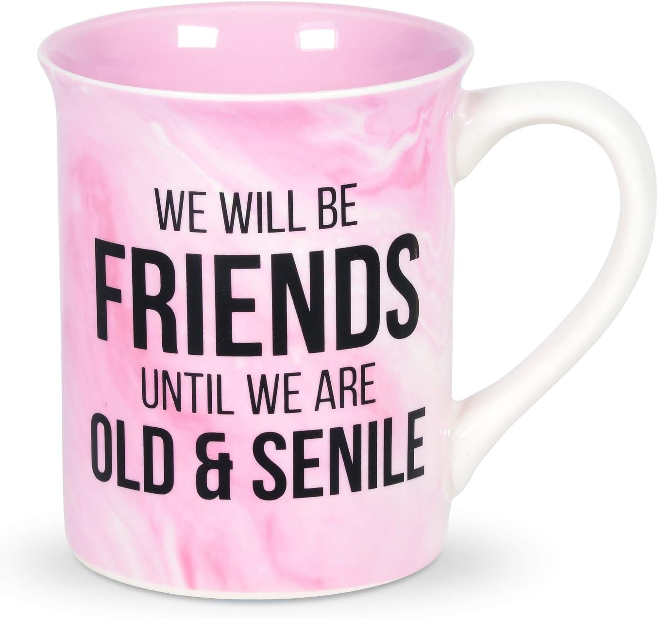 Enesco 6005706 Our Name is Mud Old and Senile Friendship Coffee Mug, 16 Ounce, Multicolor