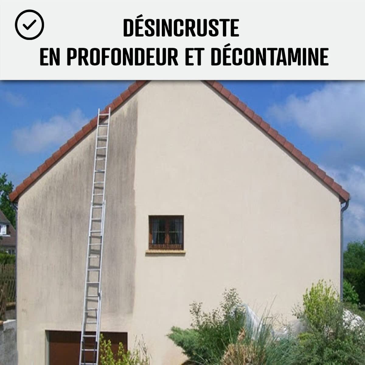 Nettoyant facade, produit professionnel rapide pour crépi et enduit - 20 L - ARCANE INDUSTRIES