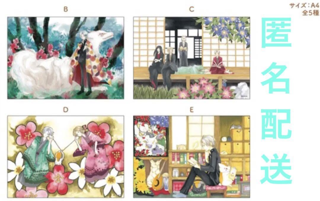 Amazon.co.jp: 夏目友人帳 カフェ 20周年 原画シート ニャンコ