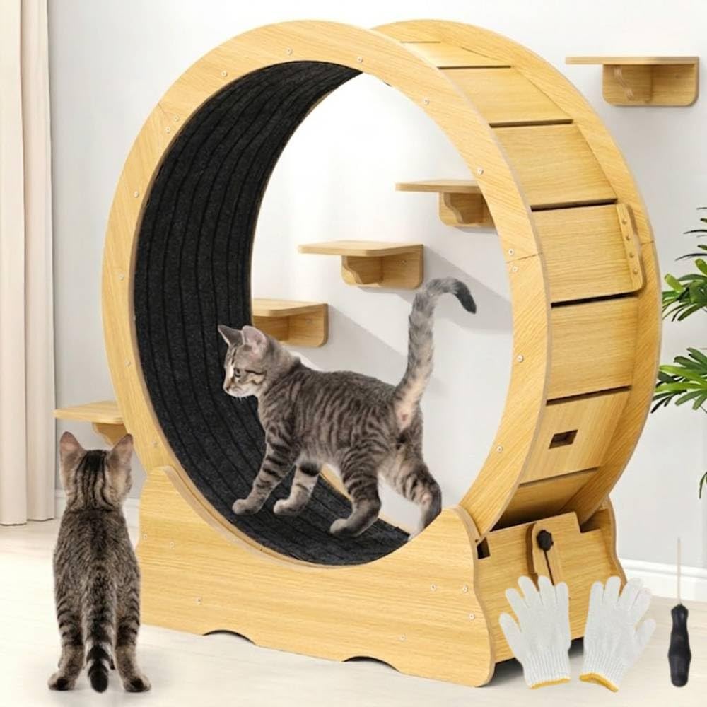 キャットホイール Amazon.co.jp: Shinyever キャットホイール 猫の車輪 猫 ホイール 猫用