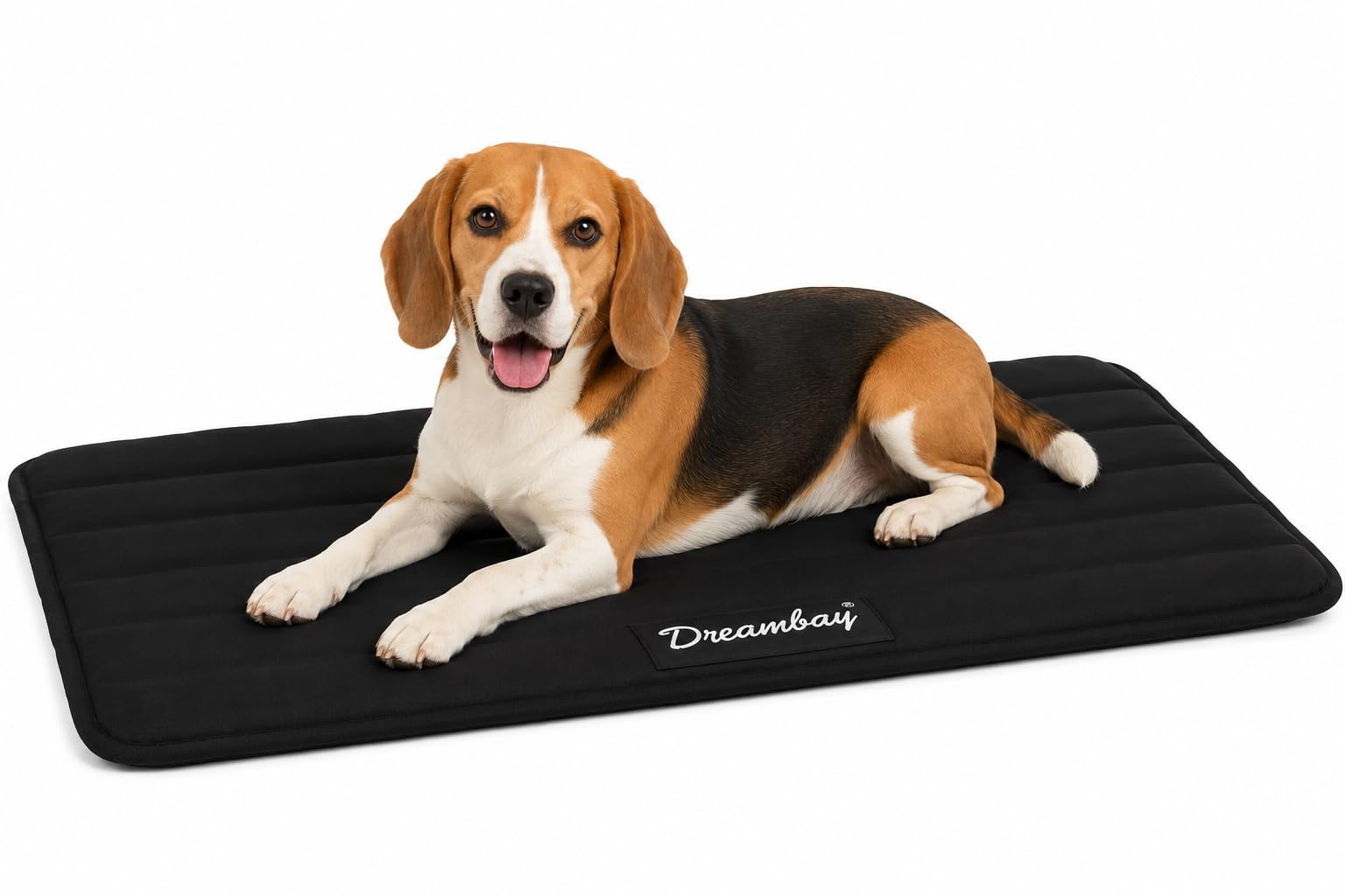 Coussin chien orthopédique Dreambay noir 85x51cm en mousse à mémoire