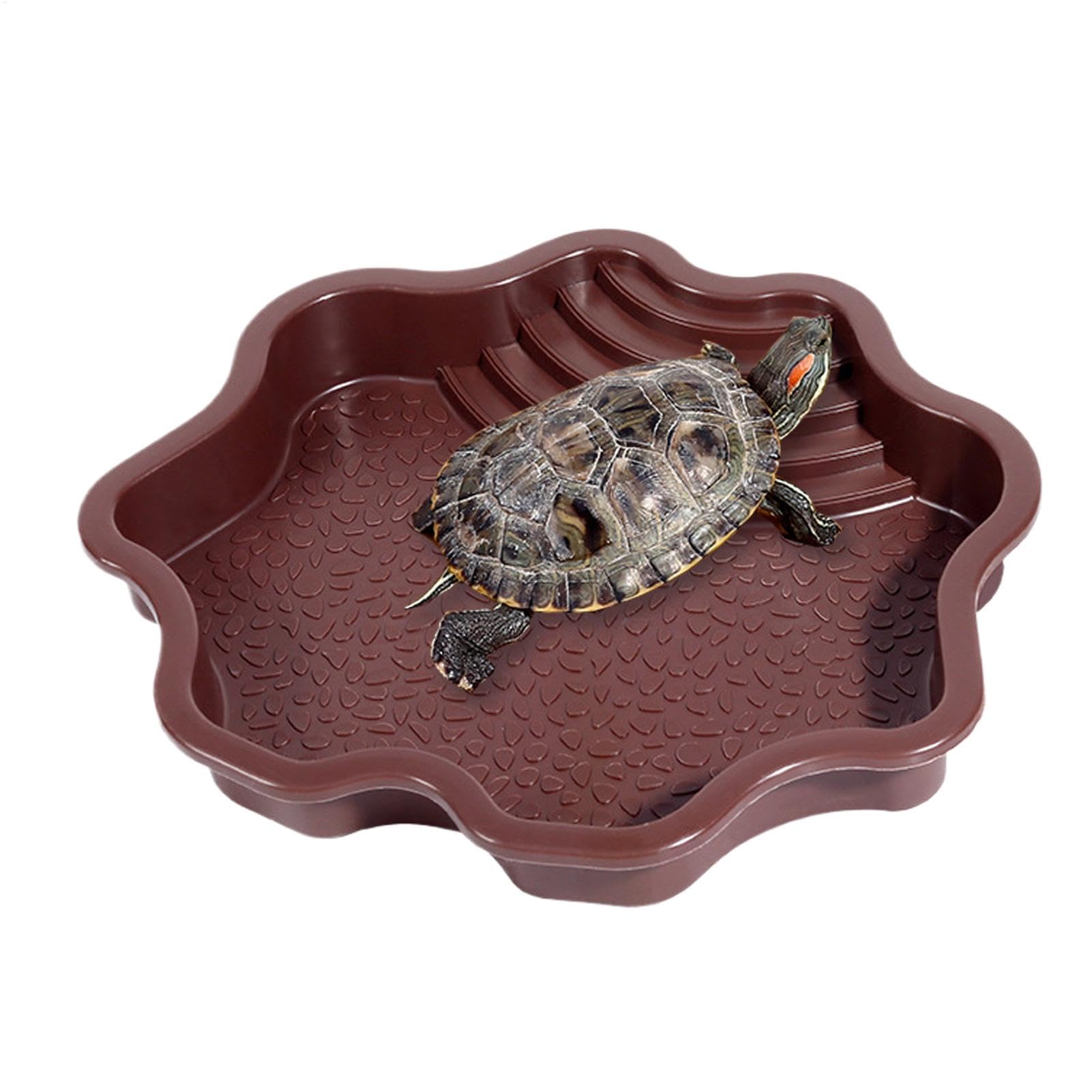 Plat à tremper pour reptiles, bol d'eau et nourriture avec marches pour tortue de piscine