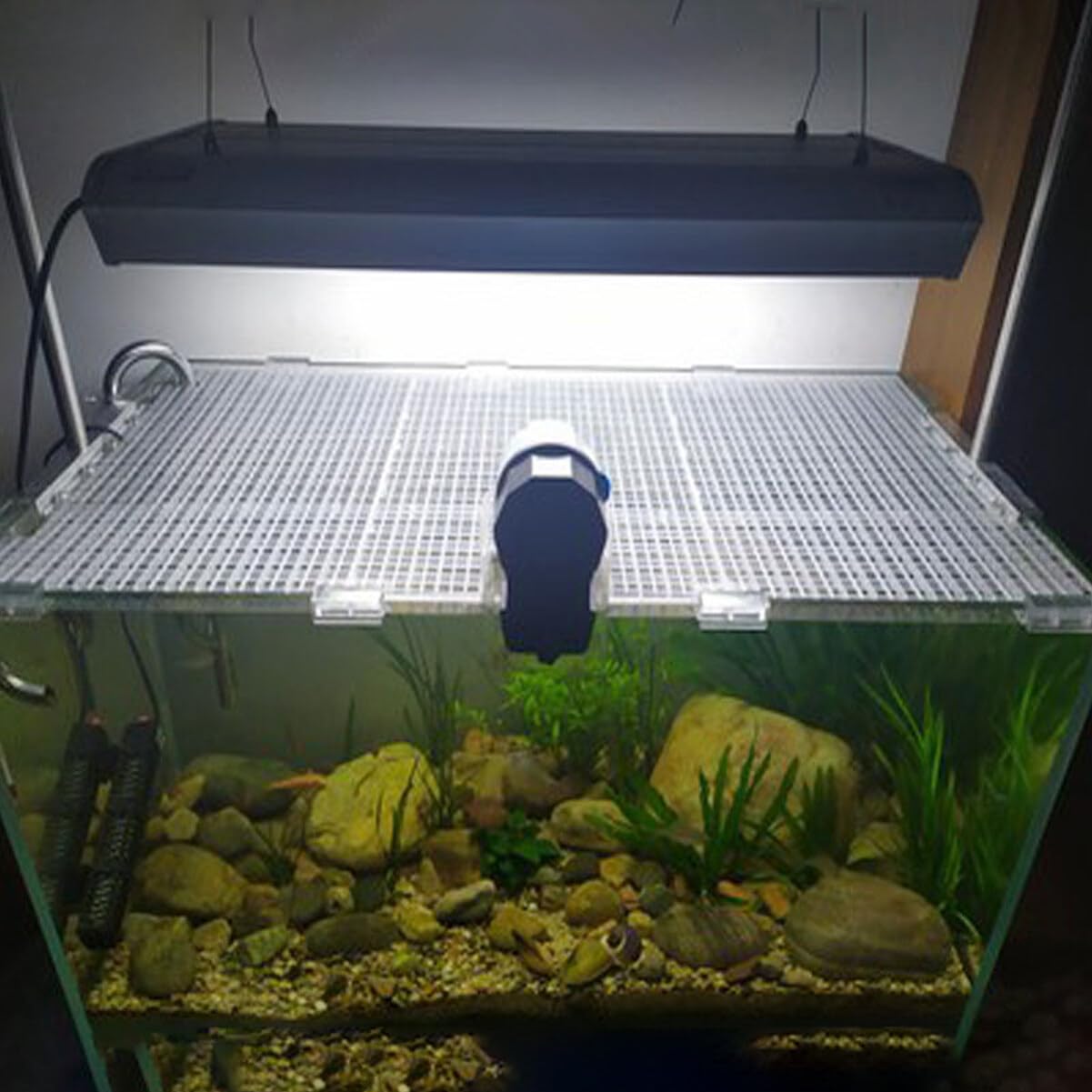DOITOOL Divisor De Pecera De 10 Galones: Kit Divisor De Acuario De 10 Piezas Divisor De Rejilla De Plástico para Acuario