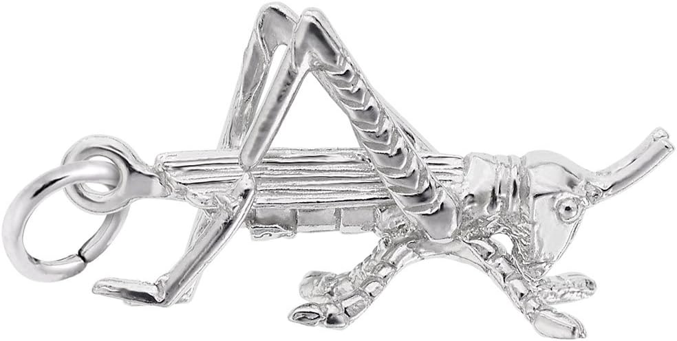 Cricket Charm, Charms for Bracelets and Necklaces