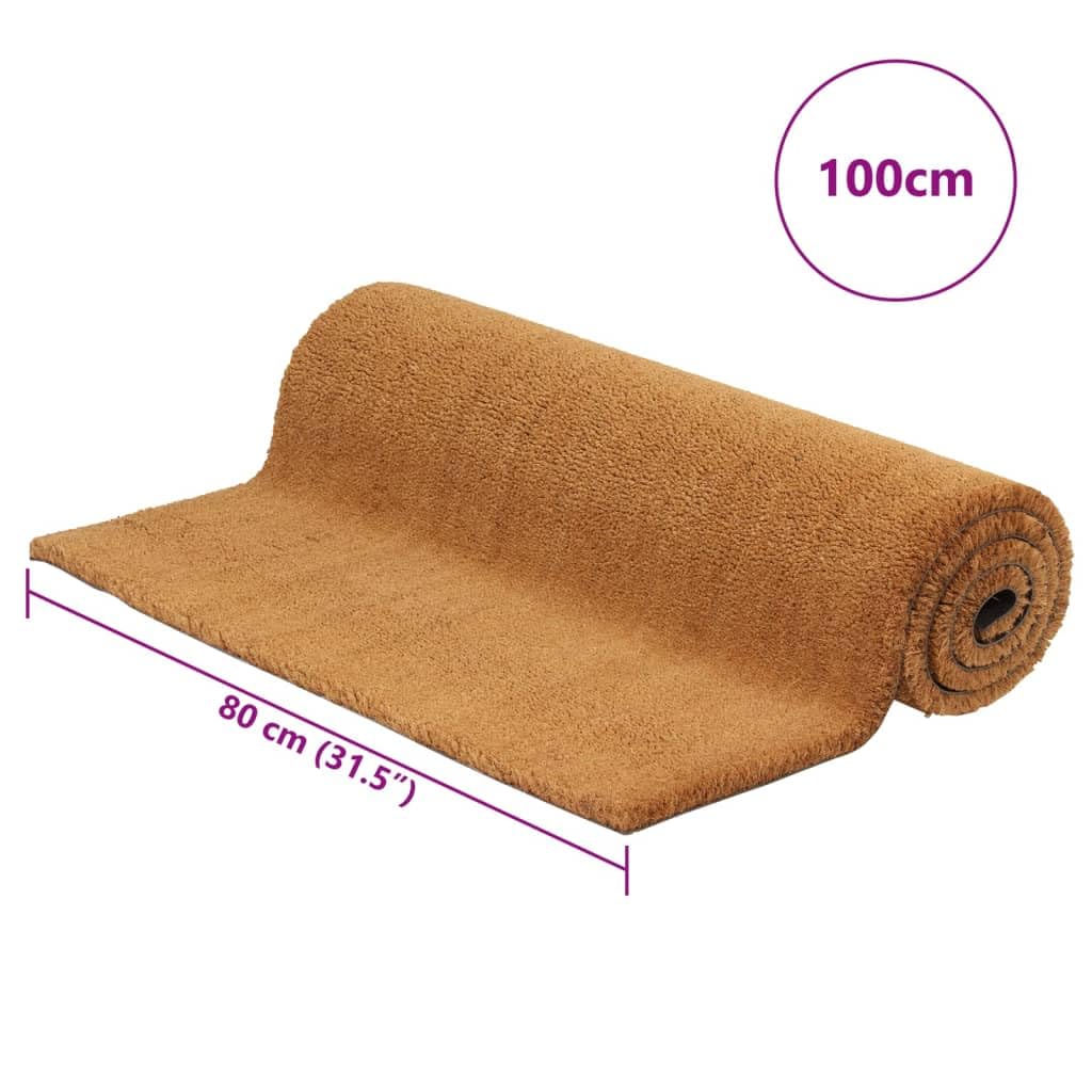 Hothingwell Tapis de Porte en Fibre de Coco 80 x 100 cm