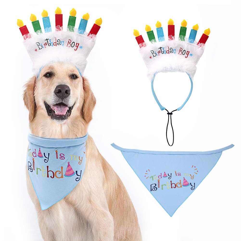 pet birthday bandana