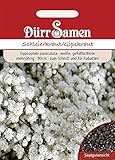 Dürr-Samen