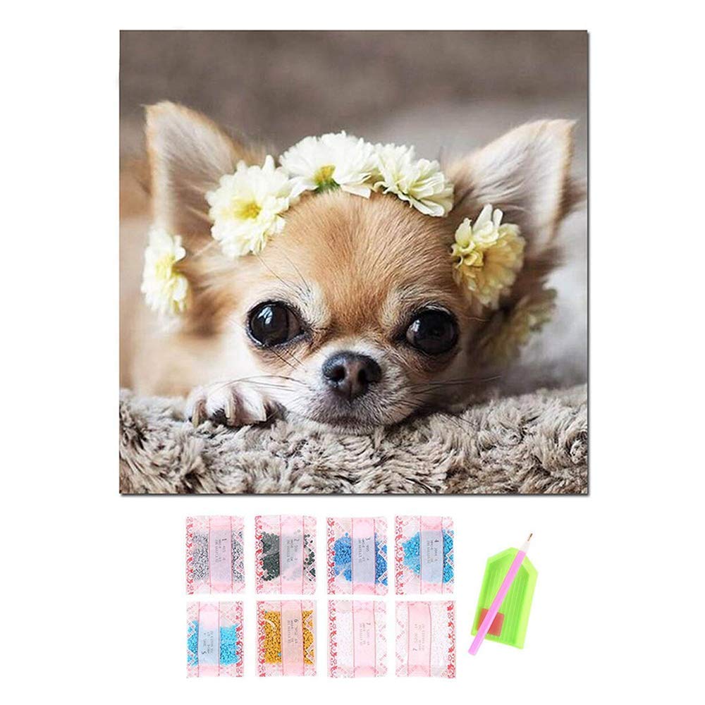 Uteruik Full Square 5D DIY Diamond Painting Cute Dog Diamond Embroidery Chihuahua Cross Stitch Rhinestone Diamond Painting, 1 Set (y-#10)
