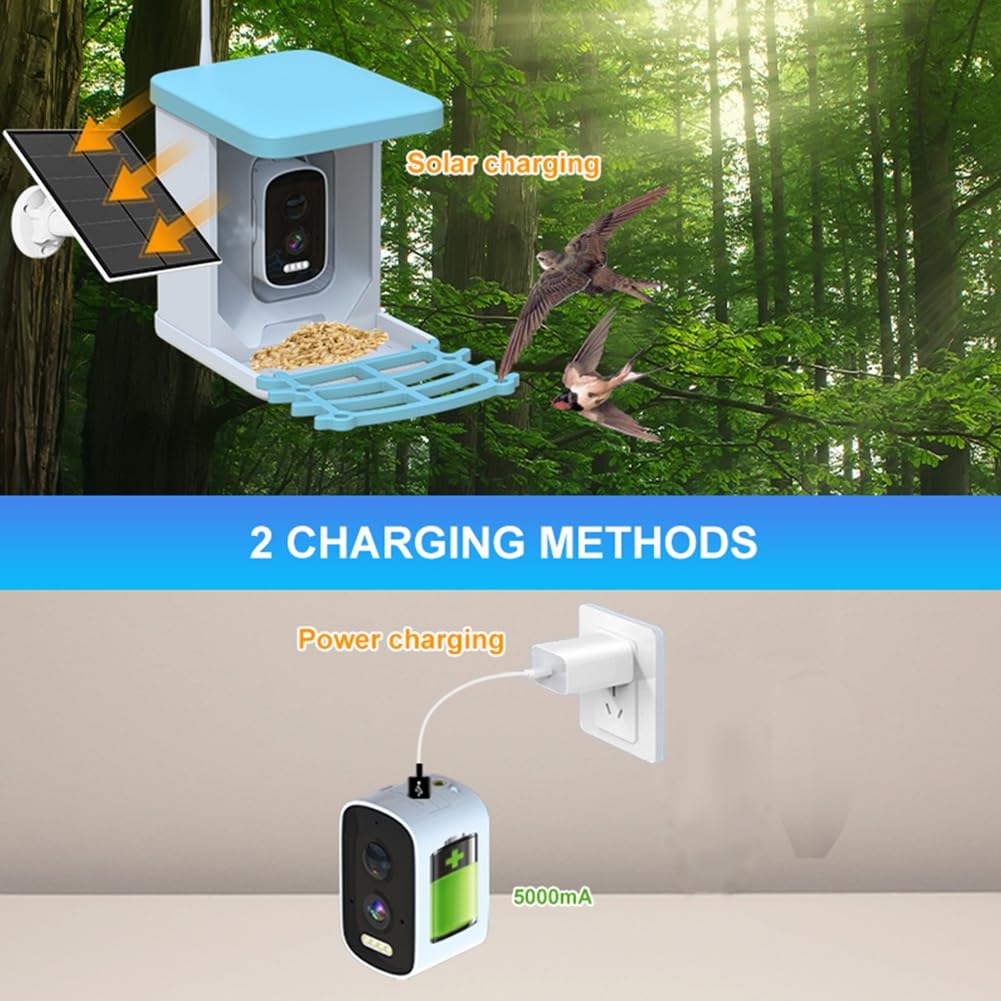 Videocamera per mangiatoia per uccelli con pannello solare WiFi telecamera solare wireless per esterni rilevamento del movimento telecamera per osservazione
