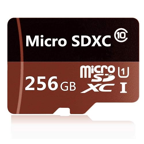 Micro Sd 256gb Amazon Com