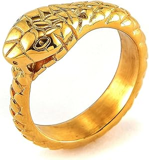 Acciaio Inossidabile 316L Gothic The Sophia Serpent Ouroboros Ring of A Serpent Norse Text Gioielli Vintage Unisex con Borsa Regalo