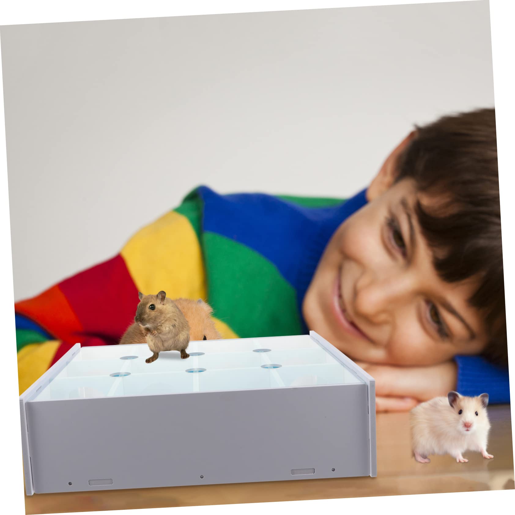 Holz Hamster Labyrinth Tunnel für Kleintiere, Blaues Spielzeug