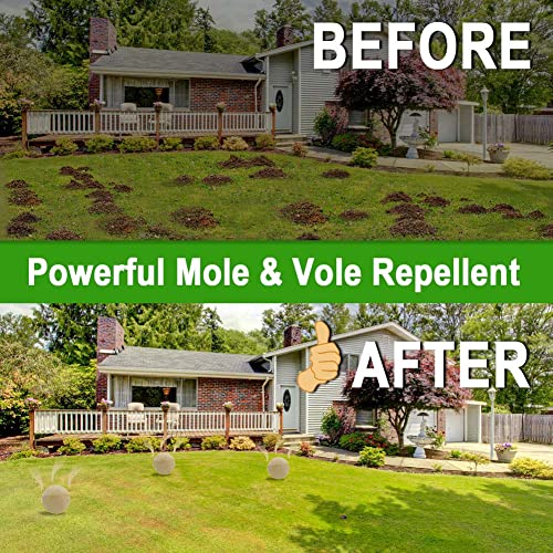 Daliyrepal Mole Repellent,Vole Repellent Outdoor,Gopher Repellent, Mole Repellent For Lawns,Natural Gopher Repellent Keep Moles And Voles Out Of Your Lawn And Garden, Safe Around Pet & Plant -8 Packs #TOP2