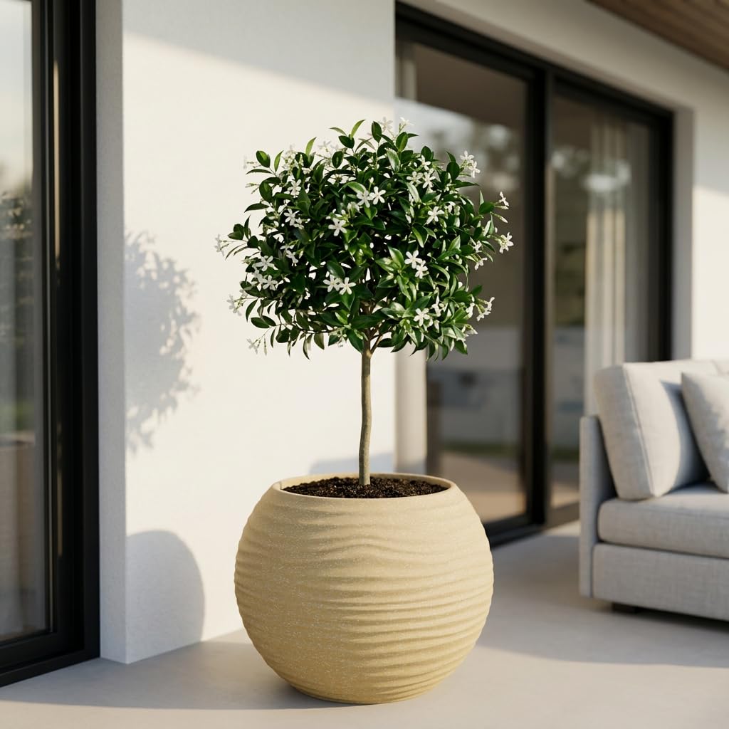 YUCCABE Fox Planter - Grey Wave Pot with Plate -9