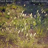 Saint Bernard