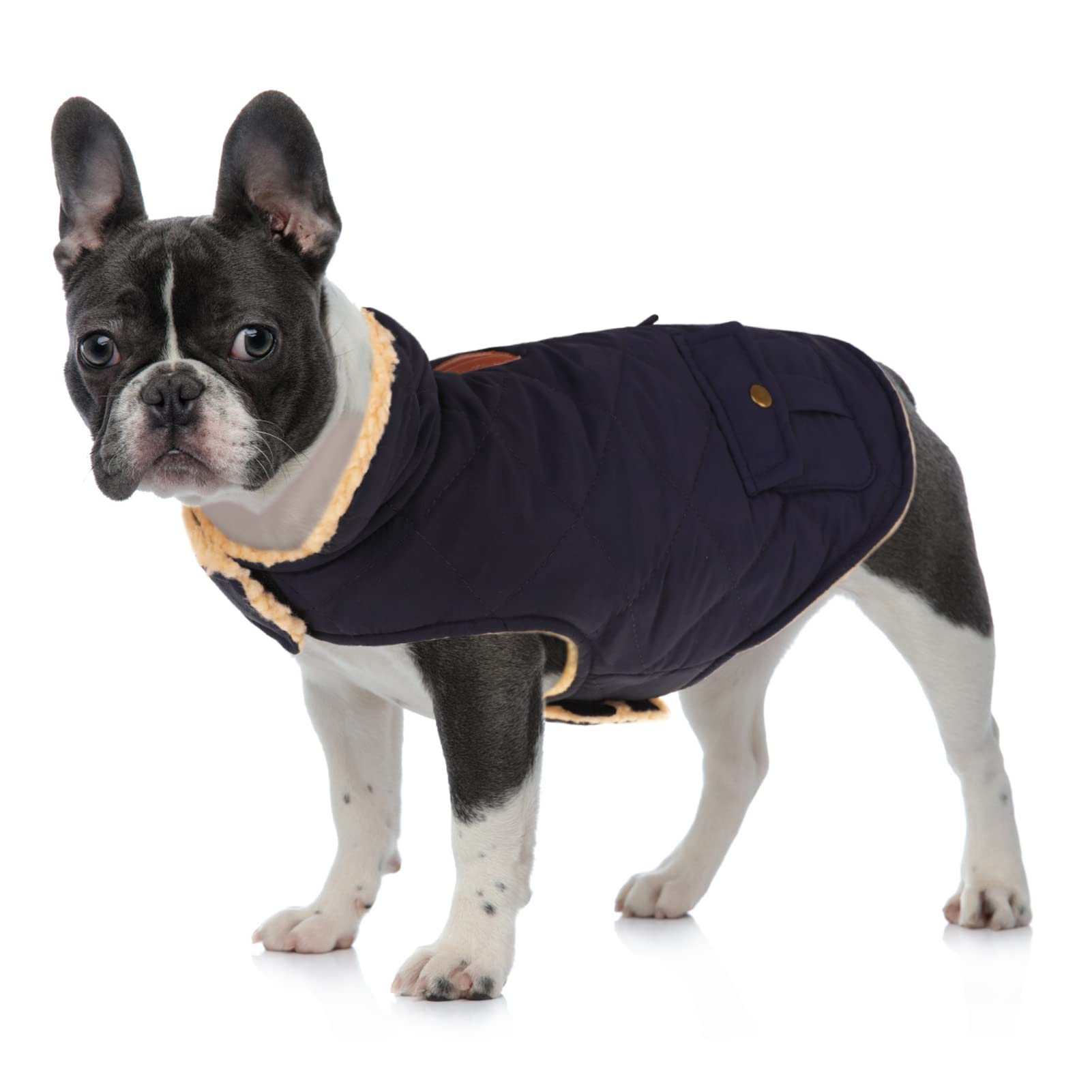 Queenmore Cappottino Cane Taglia Piccola Cappotto Cane Caldo Cappotto Impermeabile Per Cani Giubbotto Invernale Pile Vestiti Per Cani Bassotto Bulldog Francese Chihuahua, Blu, S