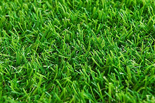 F2L 35Mm Waterproof Artificial Grass Mat For Balcony | Green Grass Carpet For Balcony | All-Weather Home And Office Edition (Size 1.5 X 4 Feet, Rectangular) (Image - 6)
