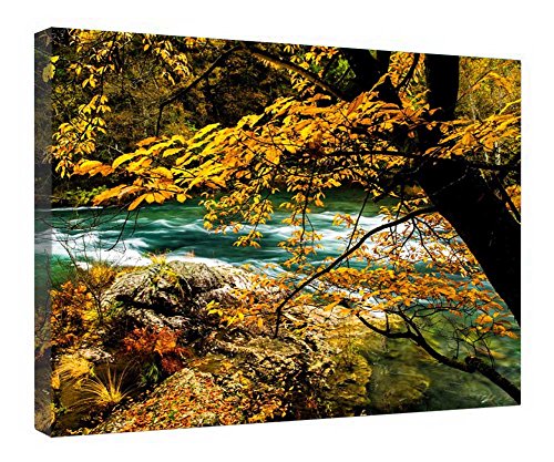 Cadre bois avec impression sur toile paysage de forêt d'automne premium